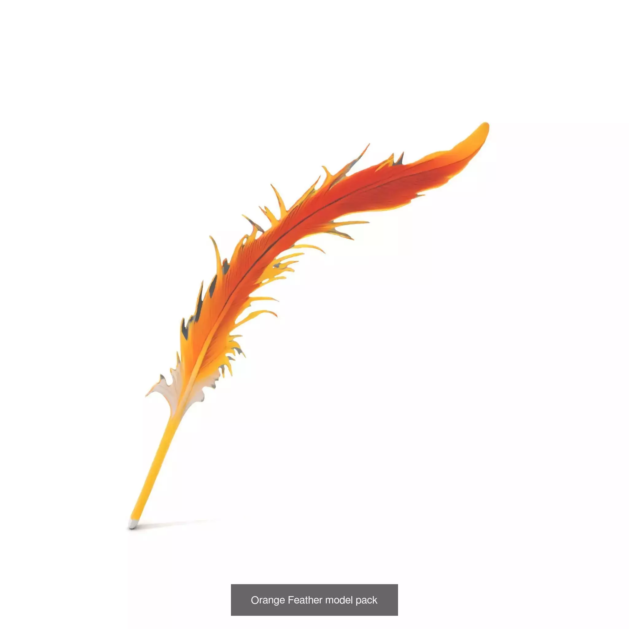 Diverse 3D Model Collection _43