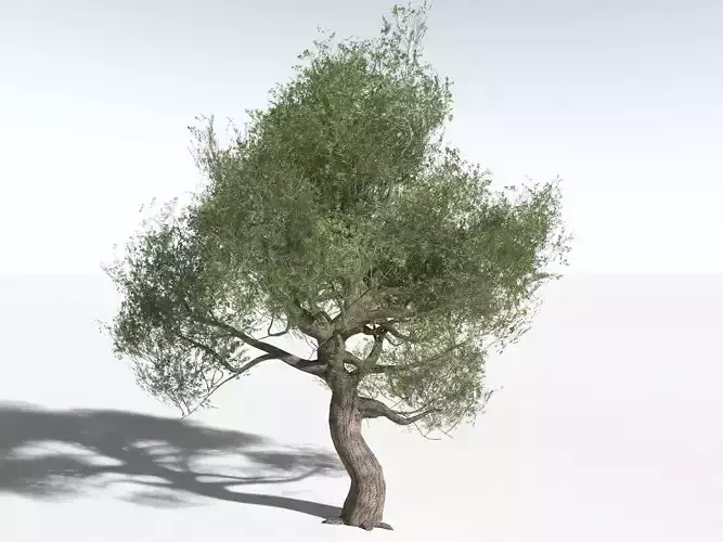 EVERYPlant Utah Juniper LowPoly -16 Models- Low-poly 3D model