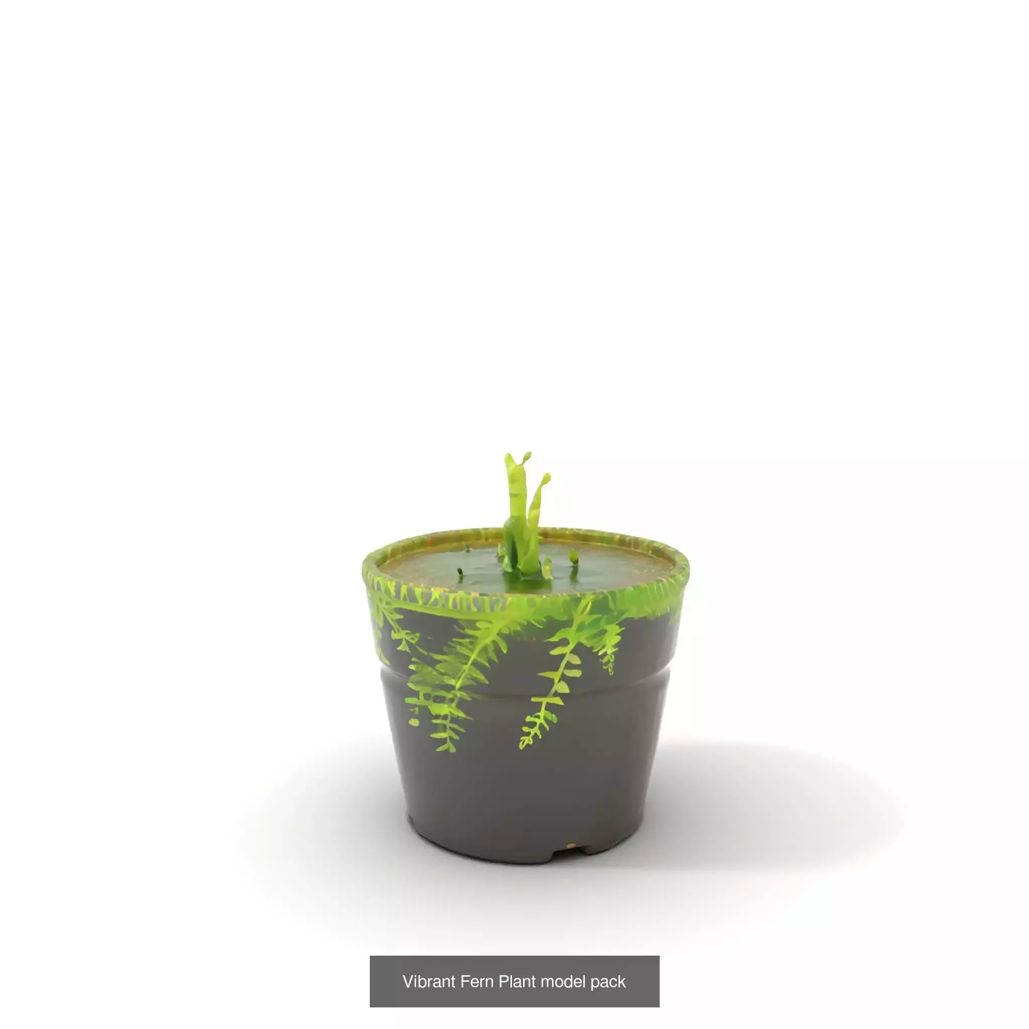 Artisan Object Showcase 3D Model Collection_40