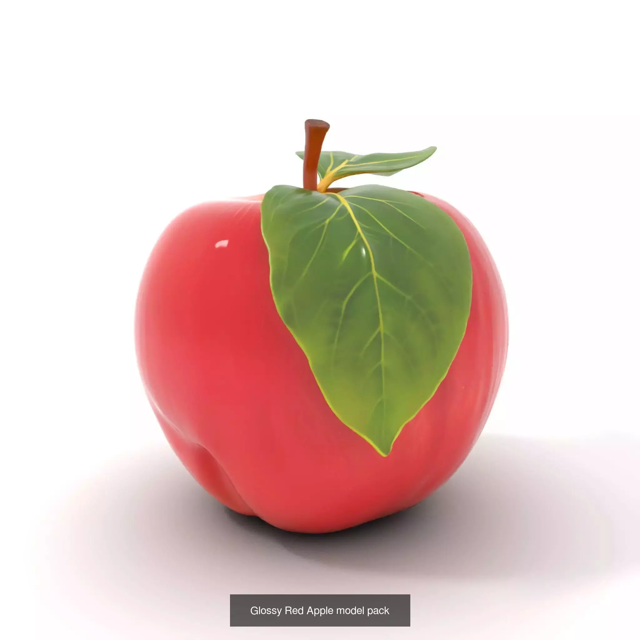 Artisan Object Showcase 3D Model Collection_37