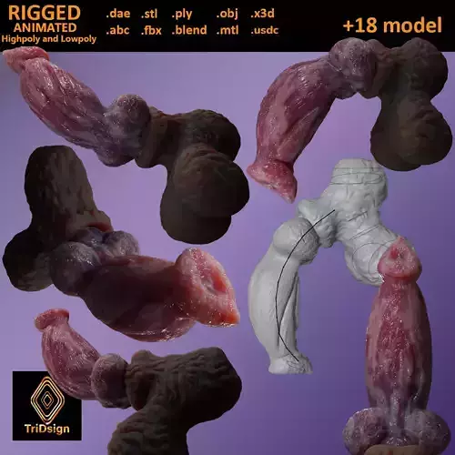 Fantasy Thain Werewolf Penis Rigged Lowpoly and Highpoly