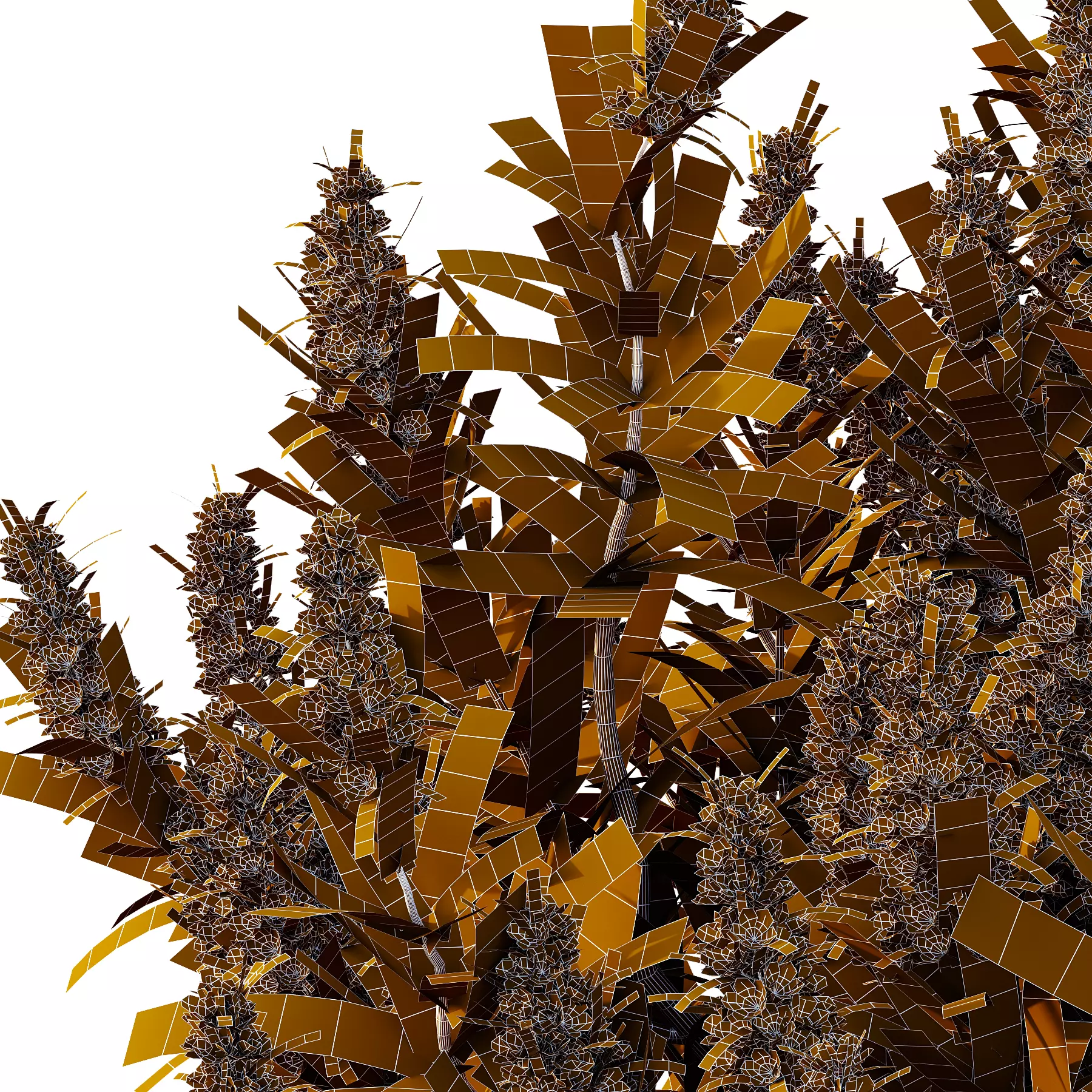Echium candicans Pride of Madeira Bush 06 3D model_3