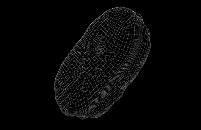 Pickle v1 001 Low-poly 3D model 7