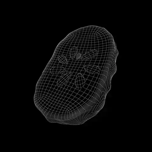 Pickle v1 001 Low-poly 3D model 5