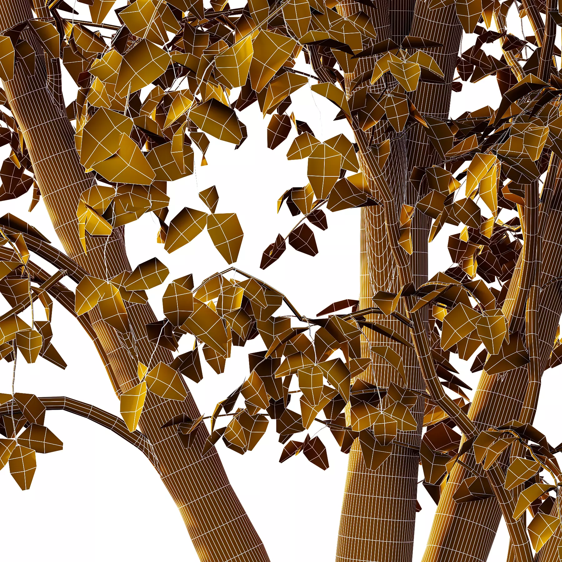 Tilia platyphyllos Tree 08 3D model_4