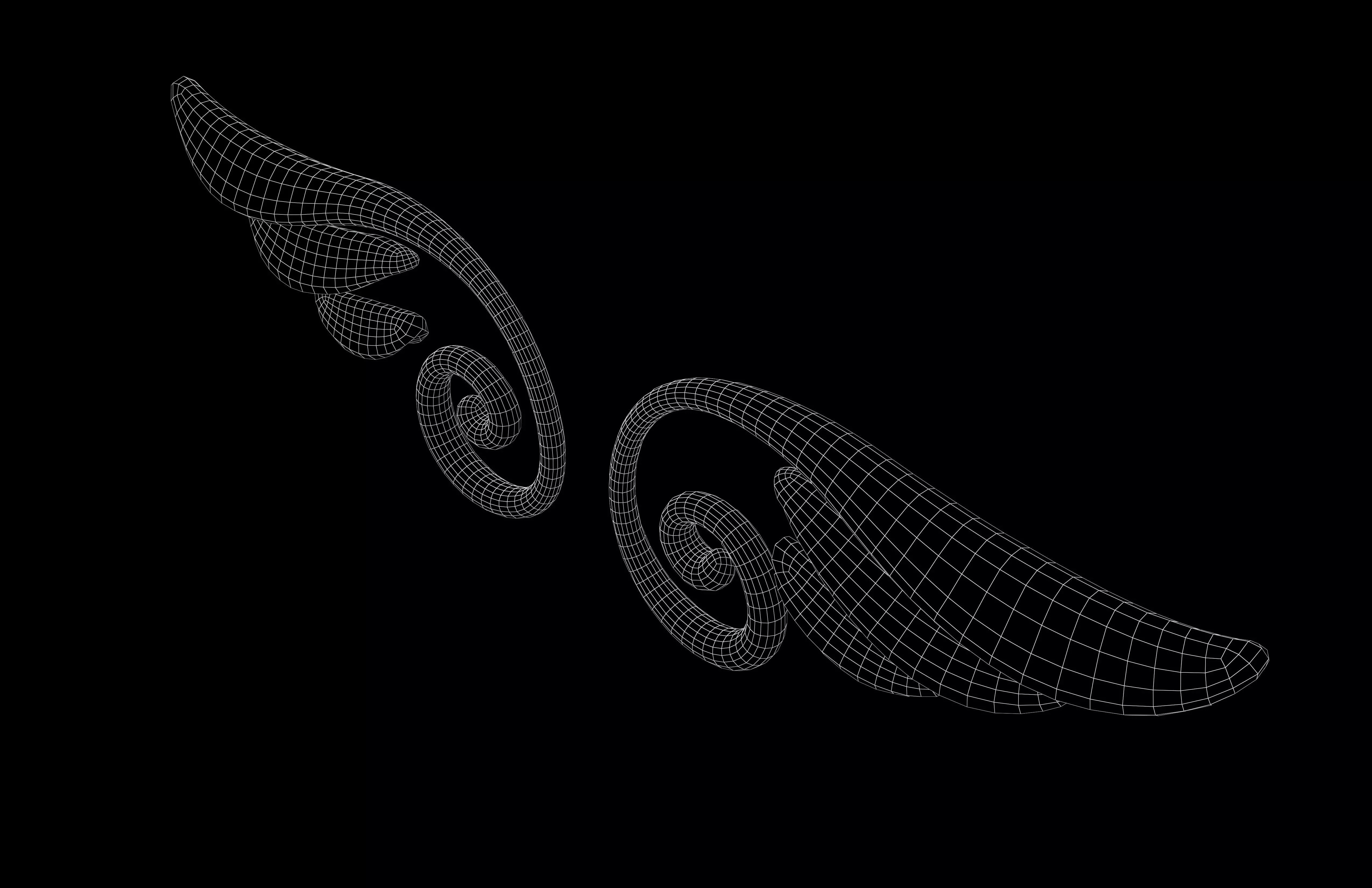 Line Style Wings v2 002 Low-poly 3D model_6