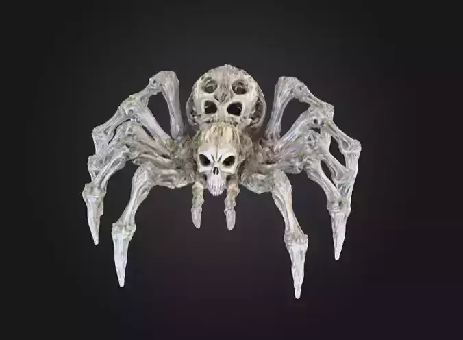 Skull Spider Low-poly 3D model