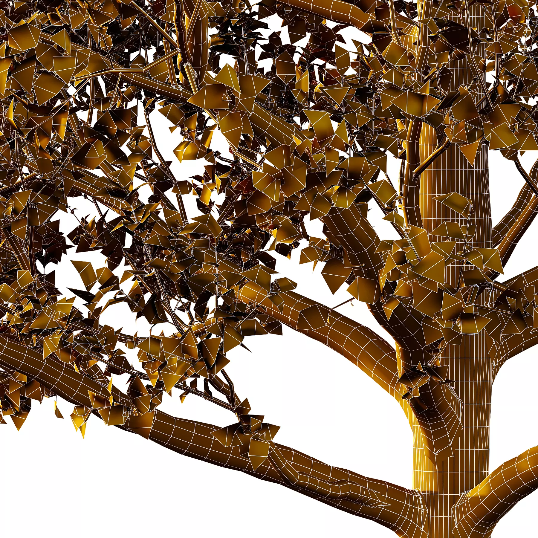 Tilia platyphyllos Tree 02 3D model_3