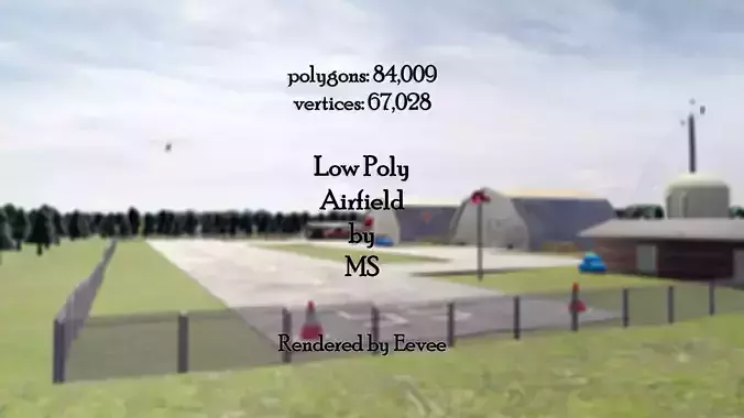 An airfield in the forest