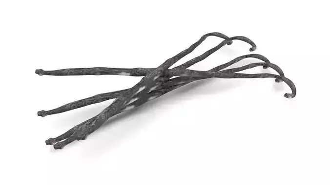Vanilla Sticks 3D model