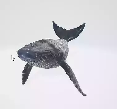 Realistic Blue Whale 3D Model