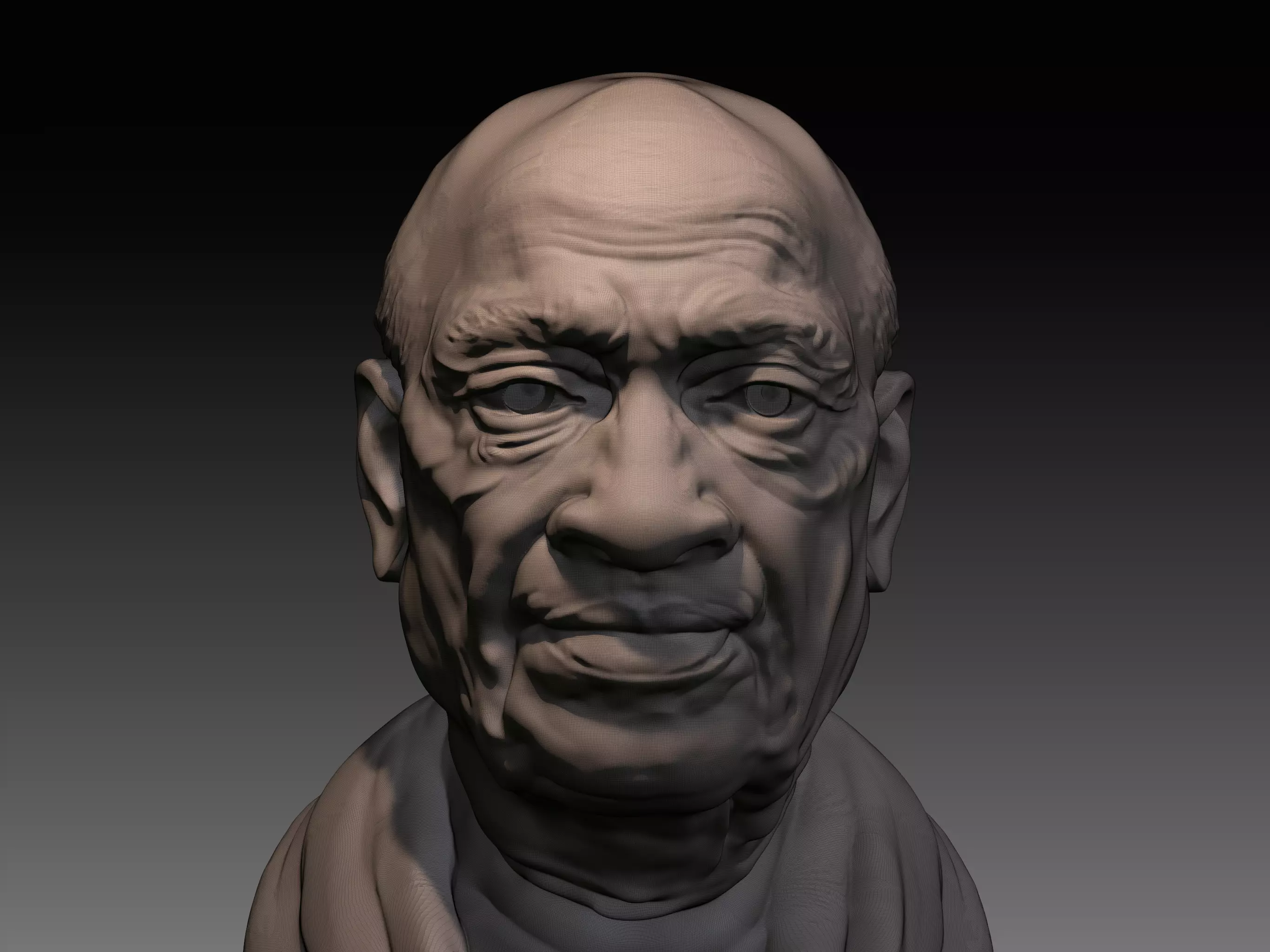 sardhar vallabhai patel 3d portrait 3D print model_6