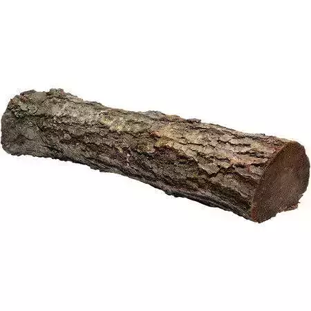 Realistic Wood Log 3D Natural Tree Trunk Outdoor Scenes Low-poly 3D model