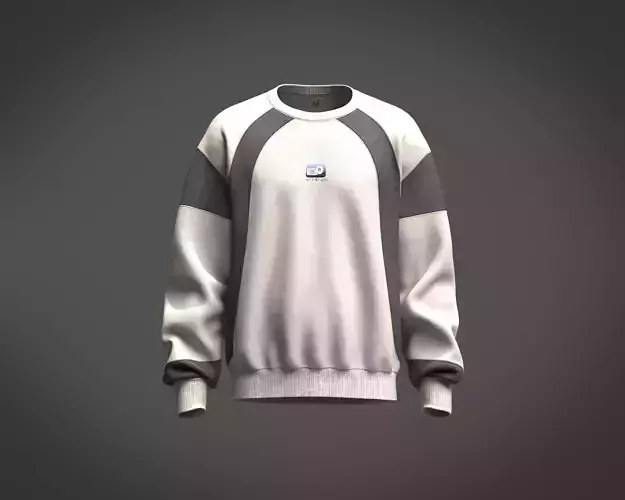 Mens cut and sew sweatshirt with color block and print