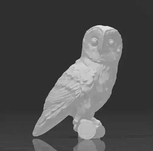 owl 3d model