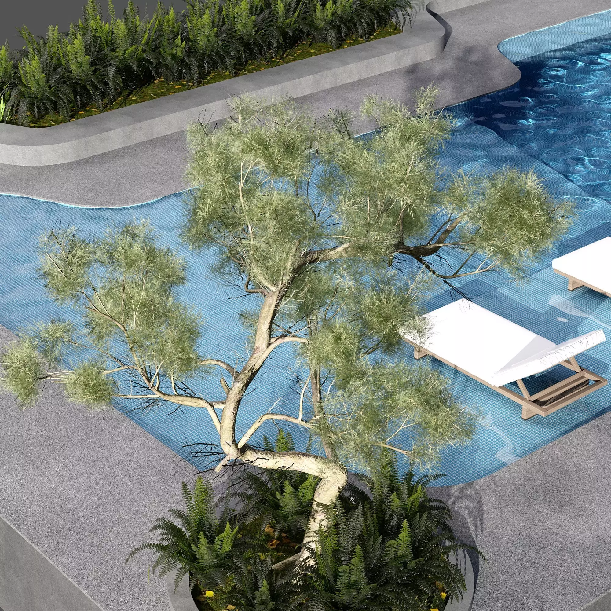 SWIMMING POOL NO116 A 3D model_5