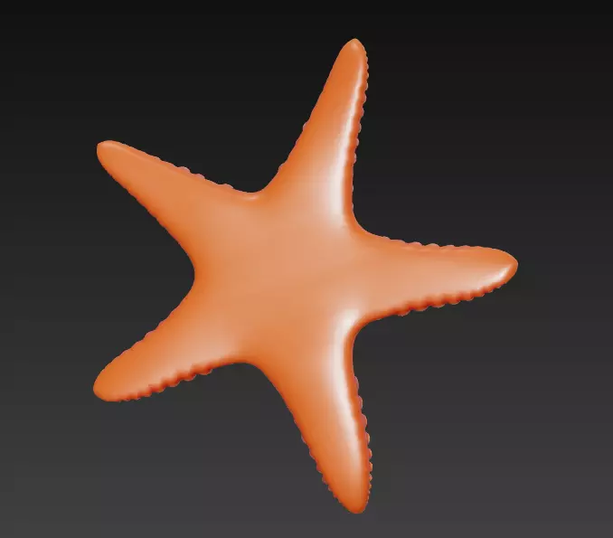Starfish Realistic 3D Model Basic - Low Poly Realistic Low-poly 3D model_8