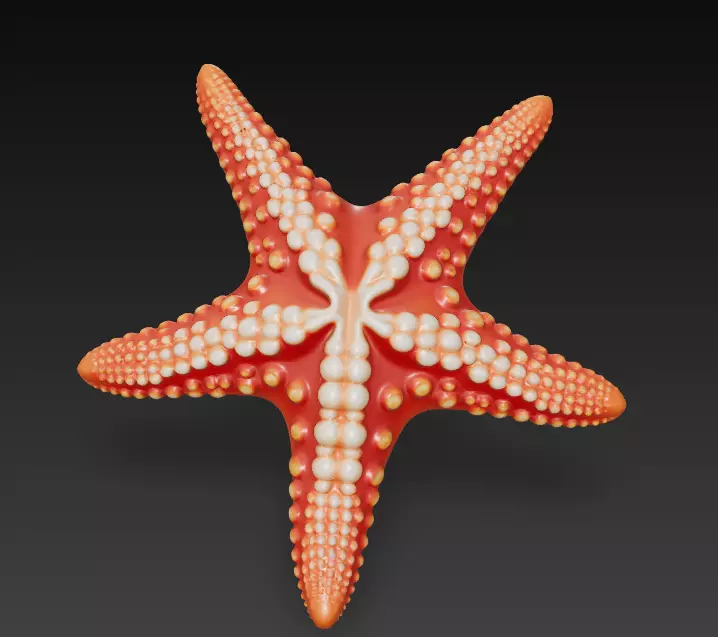 Starfish Realistic 3D Model Basic - Low Poly Realistic Low-poly 3D model_0