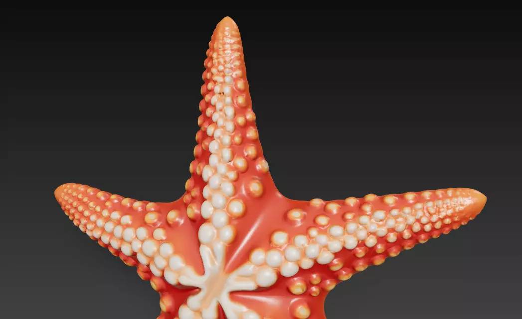 Starfish Realistic 3D Model Basic - Low Poly Realistic Low-poly 3D model_4