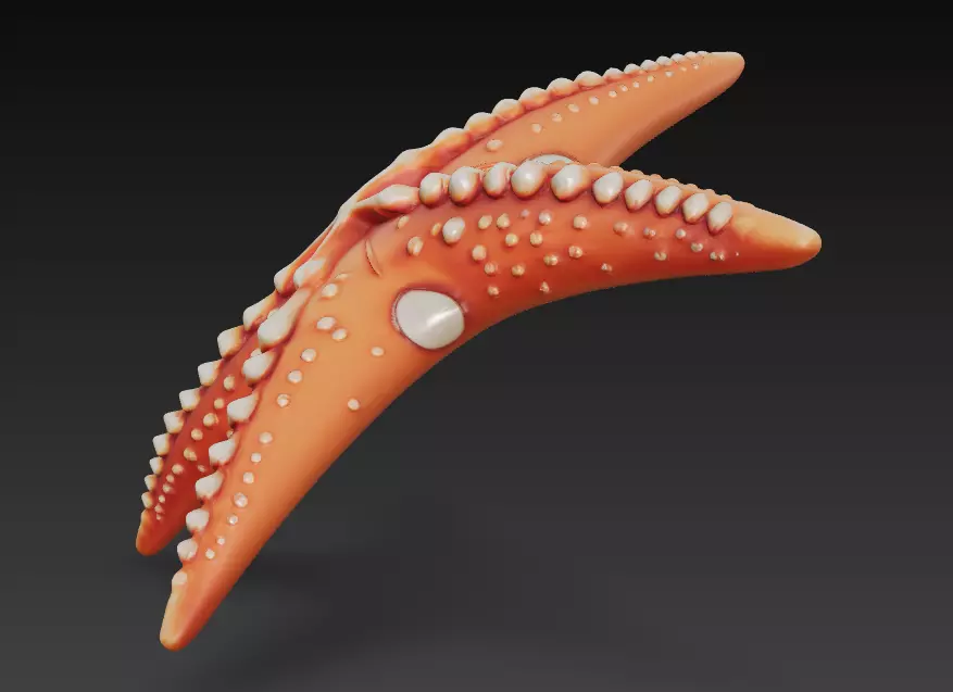 Starfish Realistic 3D Model Basic - Low Poly Realistic Low-poly 3D model_5