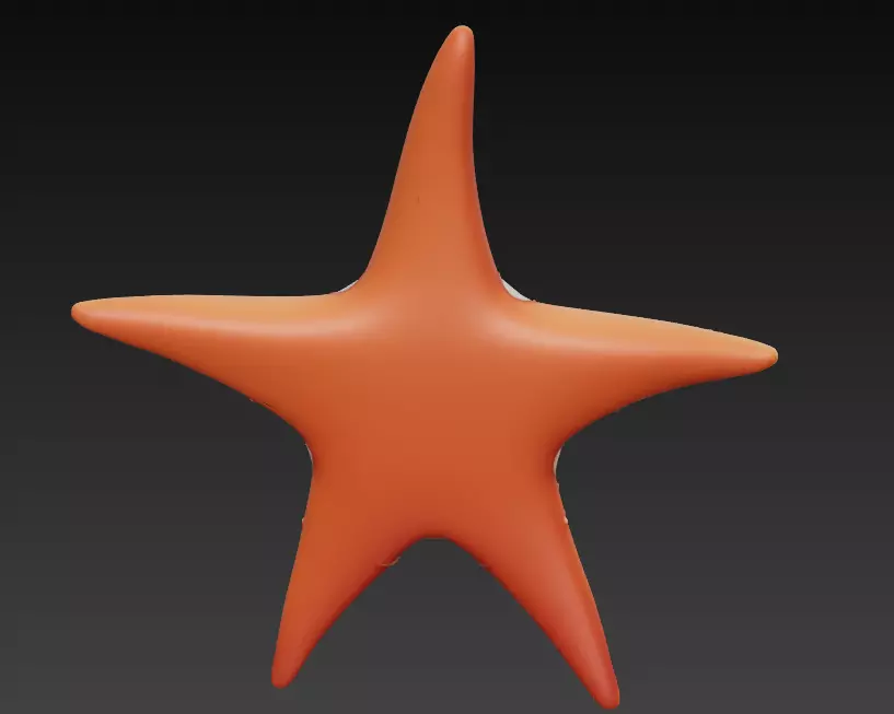 Starfish Realistic 3D Model Basic - Low Poly Realistic Low-poly 3D model_9