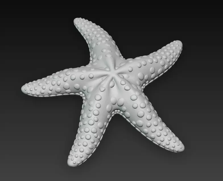Starfish Realistic 3D Model Basic - Low Poly Realistic Low-poly 3D model_15