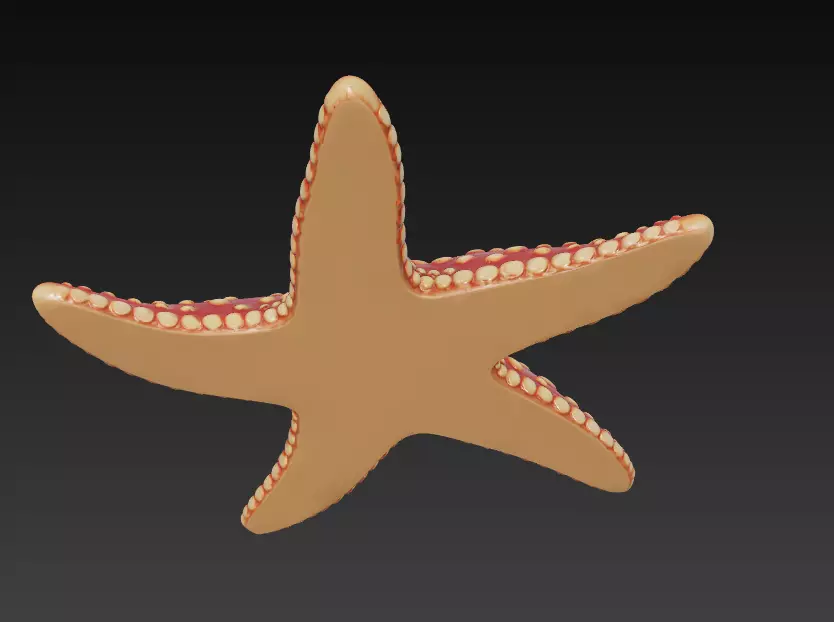 Starfish Realistic 3D Model Basic - Low Poly Realistic Low-poly 3D model_11