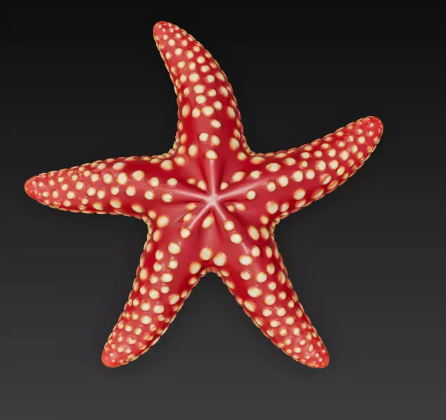 Starfish Realistic 3D Model Basic - Low Poly Realistic Low-poly 3D model_0