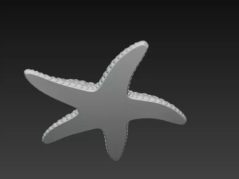 Starfish Realistic 3D Model Basic - Low Poly Realistic Low-poly 3D model_18
