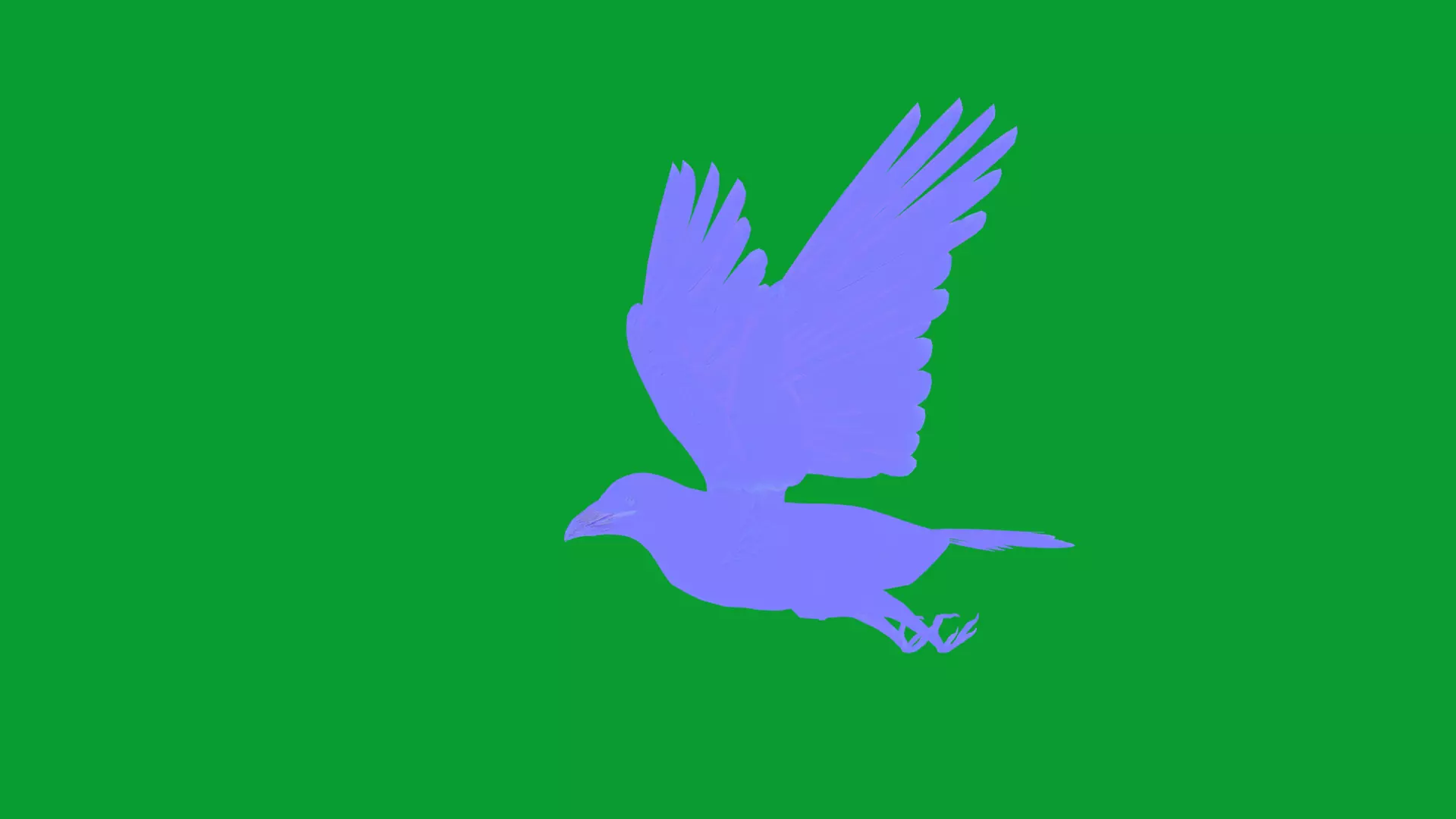 European Common Raven Bird Low-poly 3D model_36