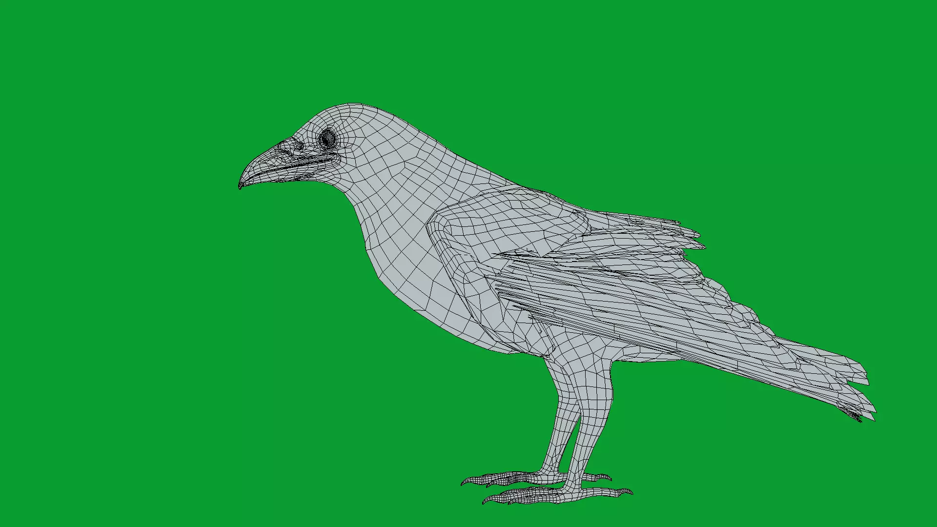 European Common Raven Bird Low-poly 3D model_20