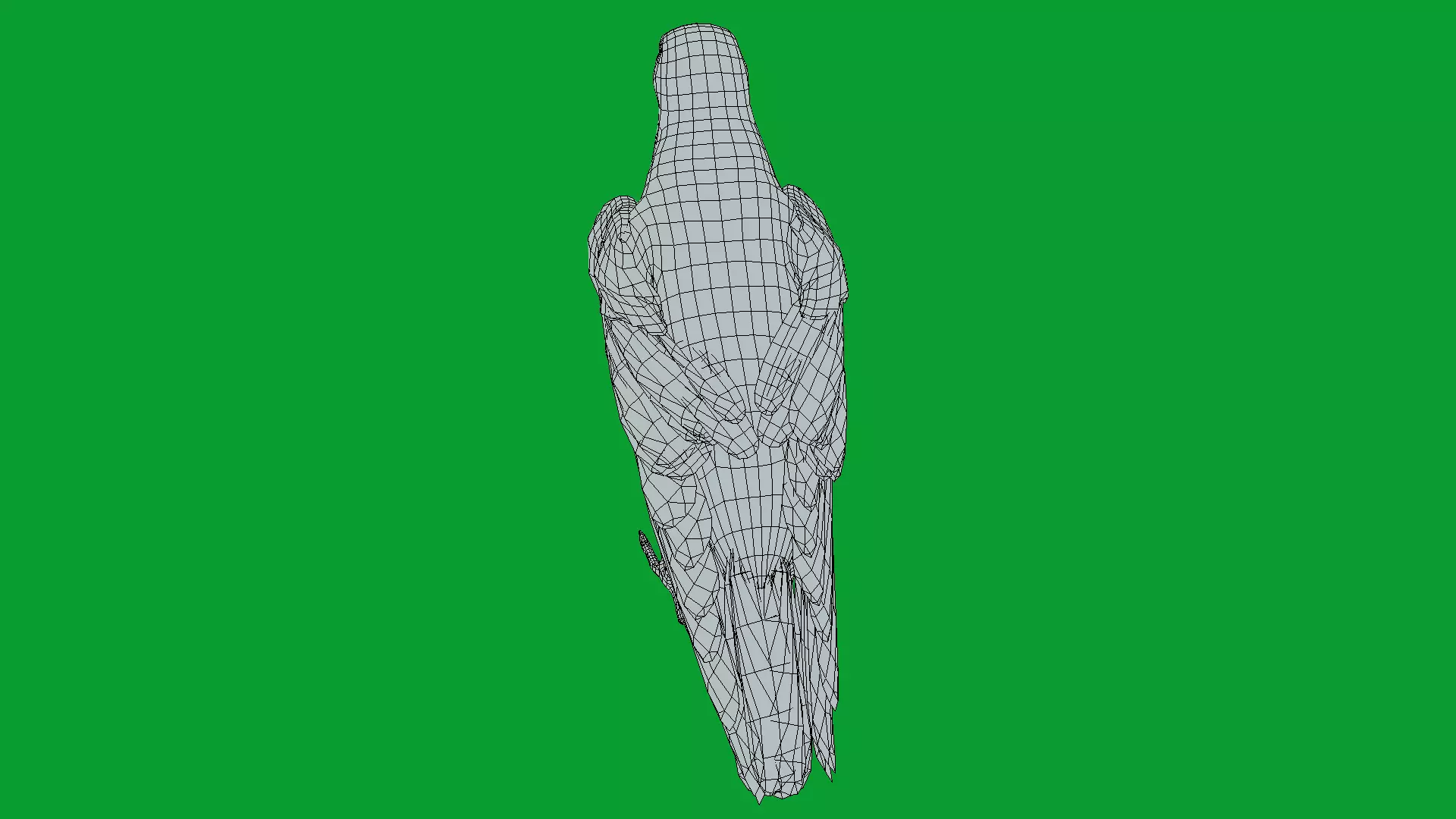 European Common Raven Bird Low-poly 3D model_23