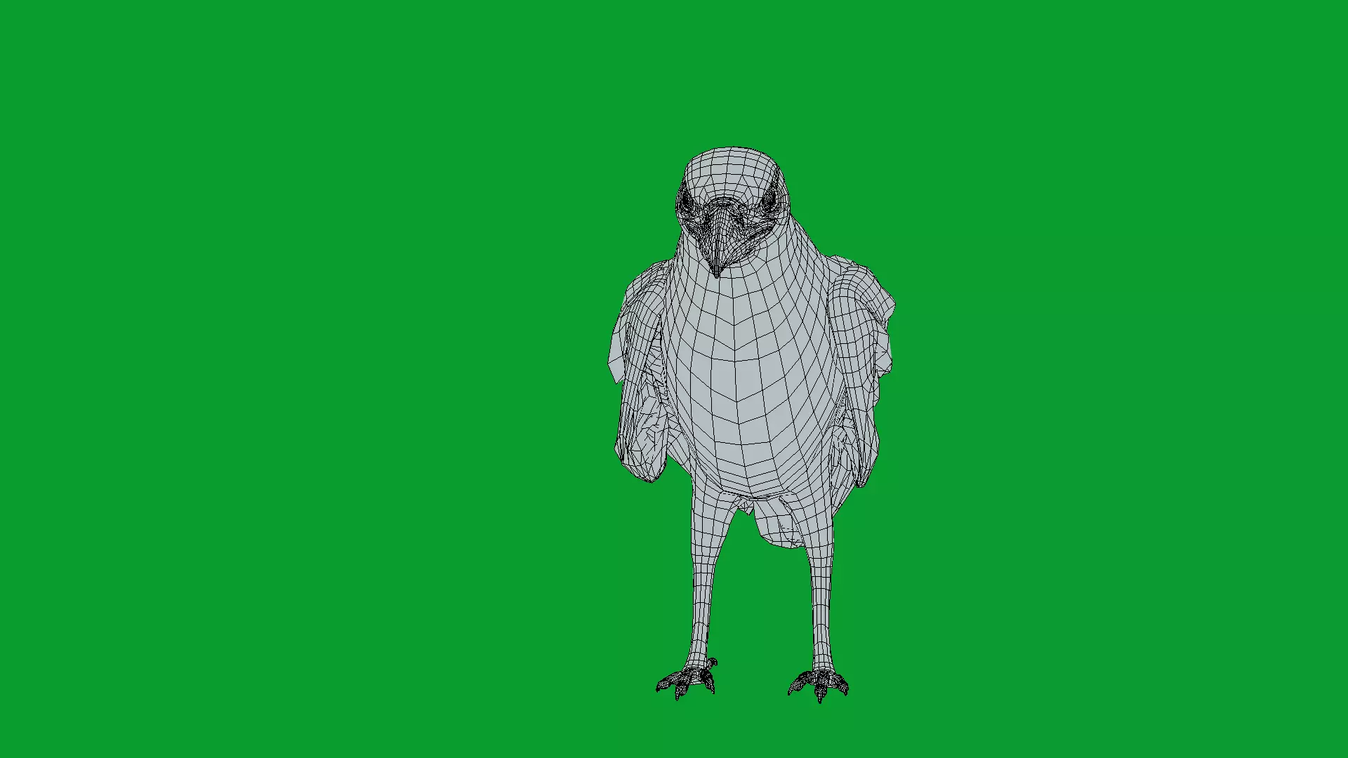 European Common Raven Bird Low-poly 3D model_19