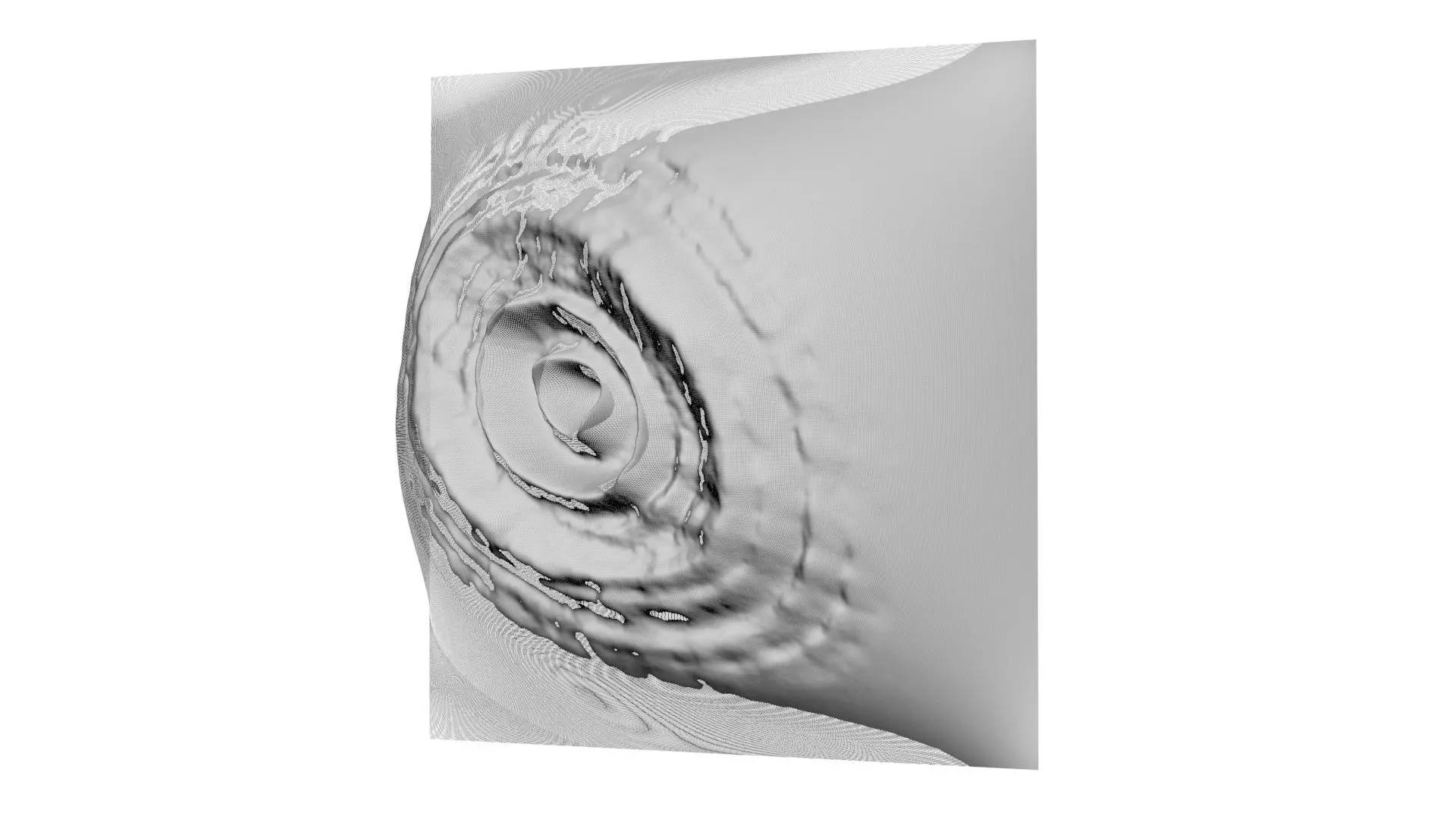 Protoplanetary Disk 3D model_10