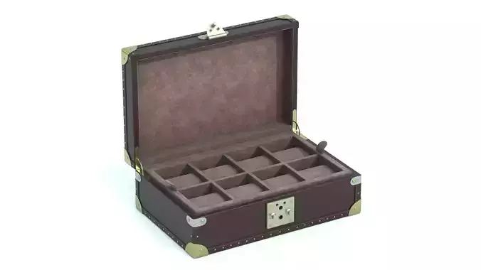 Luxury Watch Box