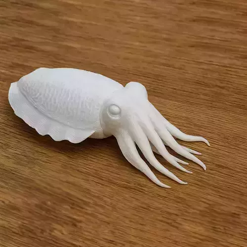 Cuttlefish Swim 3D print model