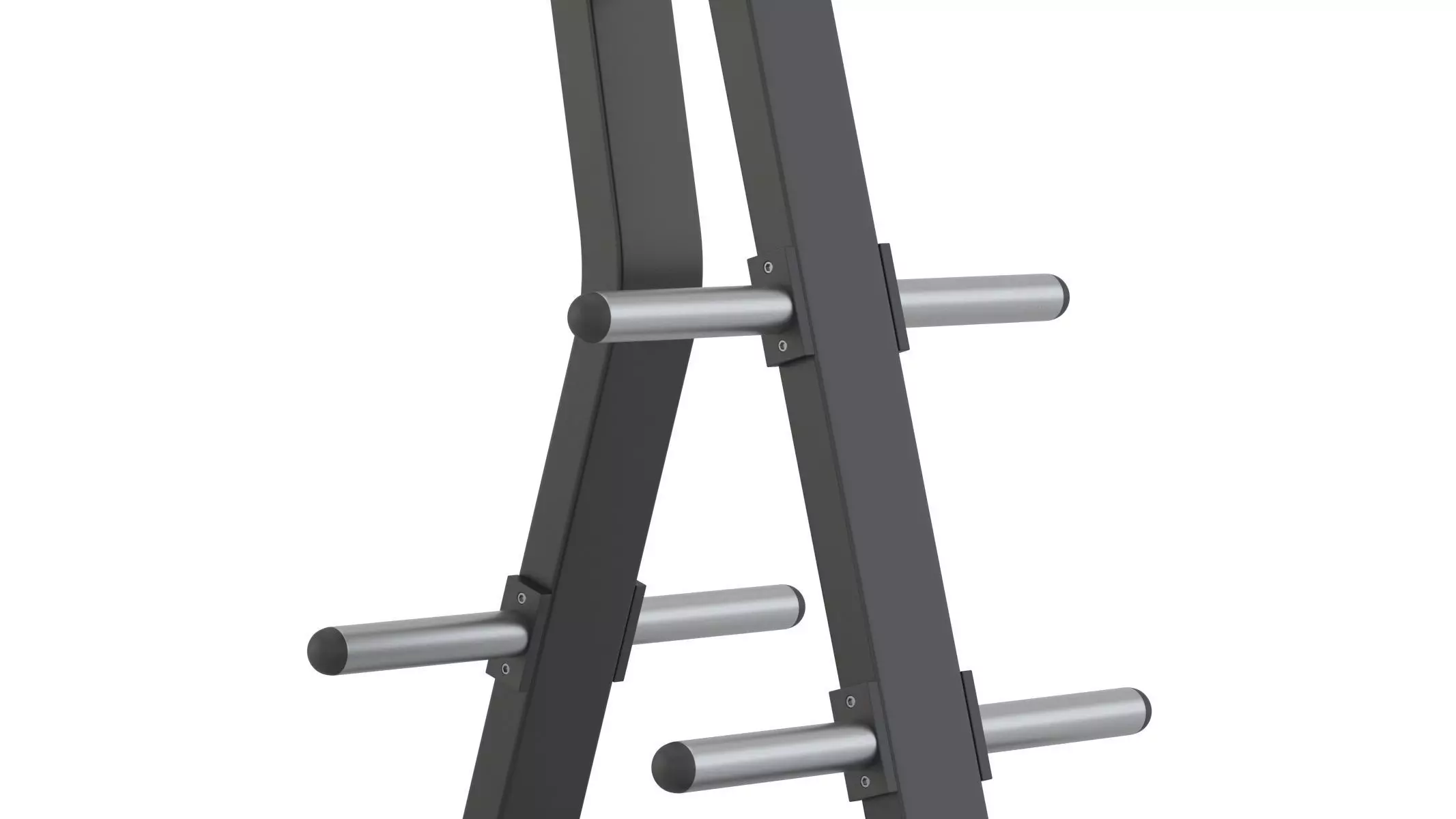 Technogym Plate Tree 3D model_8