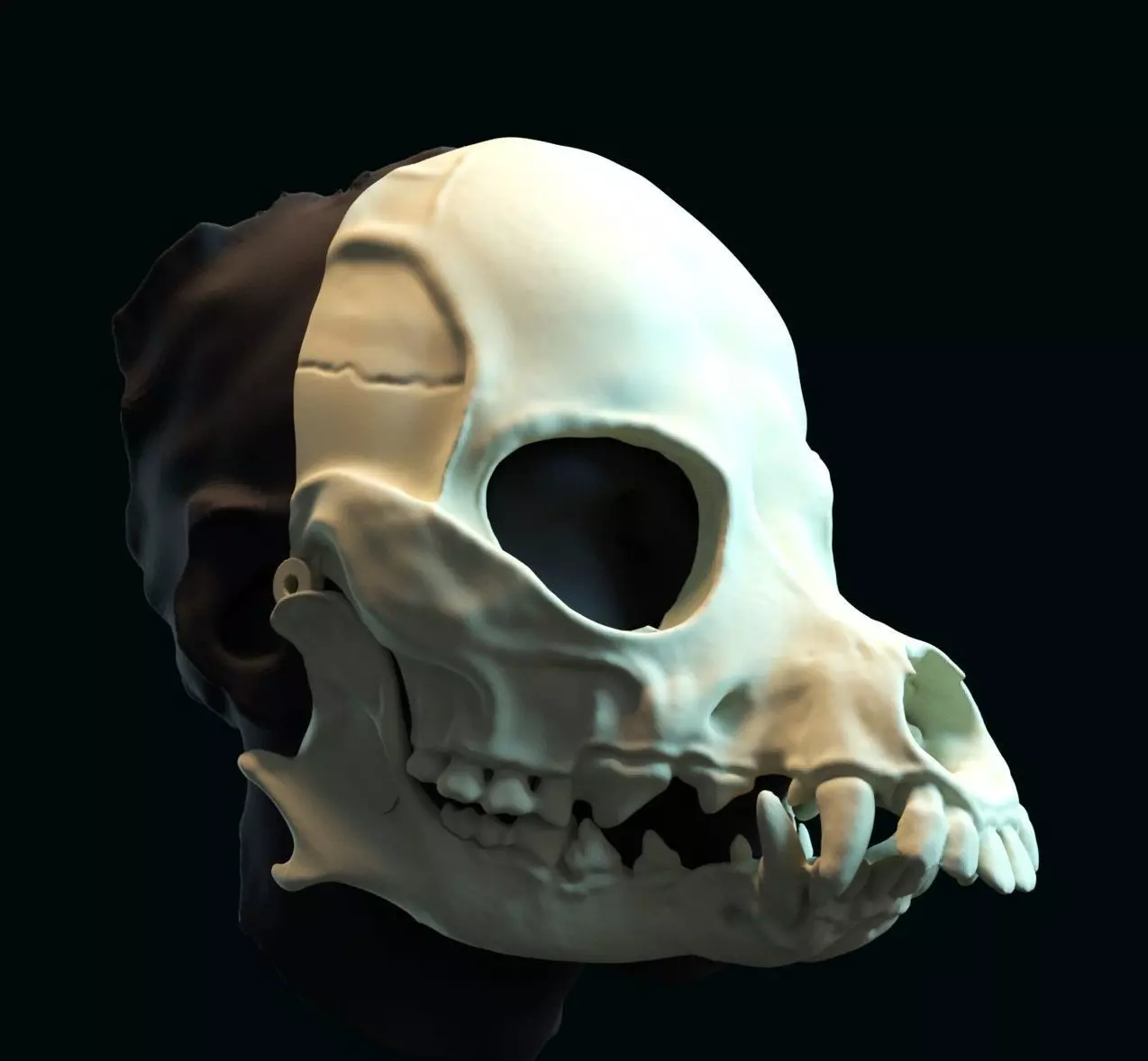 Druid skull mask 3D print model_0