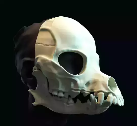 Druid skull mask 3D print model
