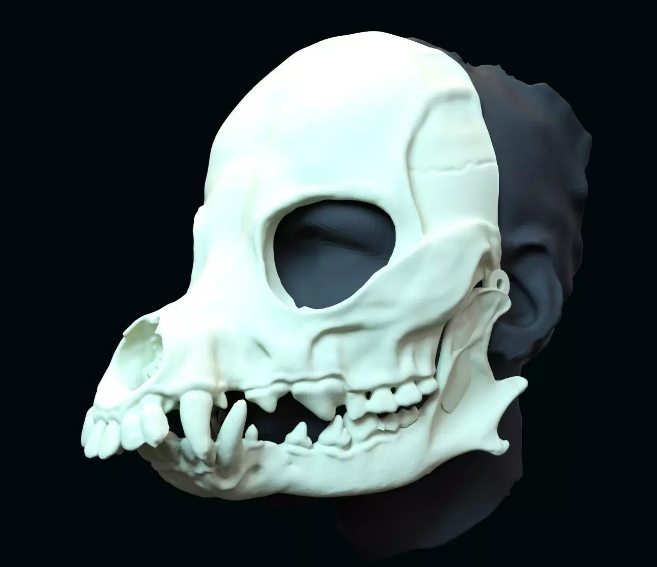 Druid skull mask 3D print model_2