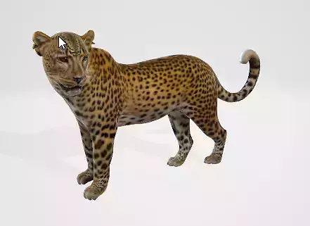 Wild Leopard 3D Model