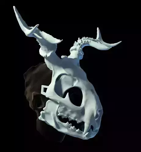 Druid skull mask that fits a human face 3D print model