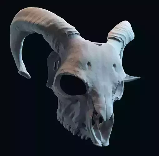 goat skull mask adapted to fit a human face 3D print model