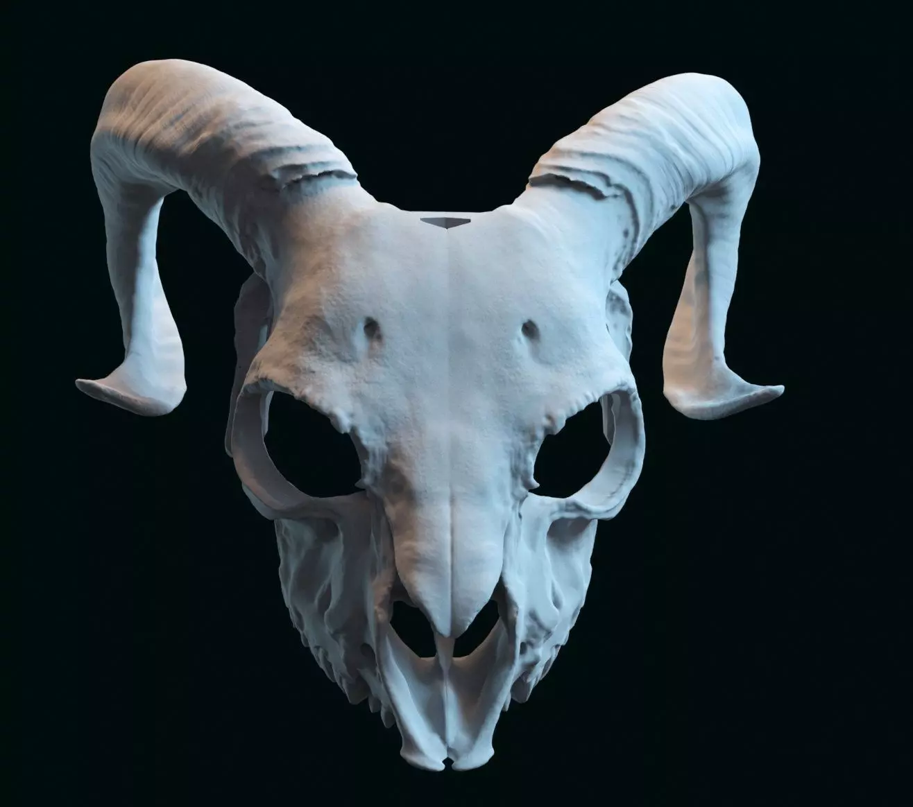goat skull mask adapted to fit a human face 3D print model_1