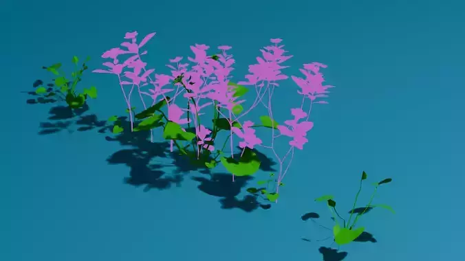 3D Nature Flower  Realistic Floral Design Model