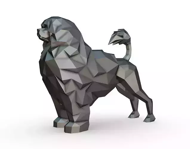 portuguese water dog