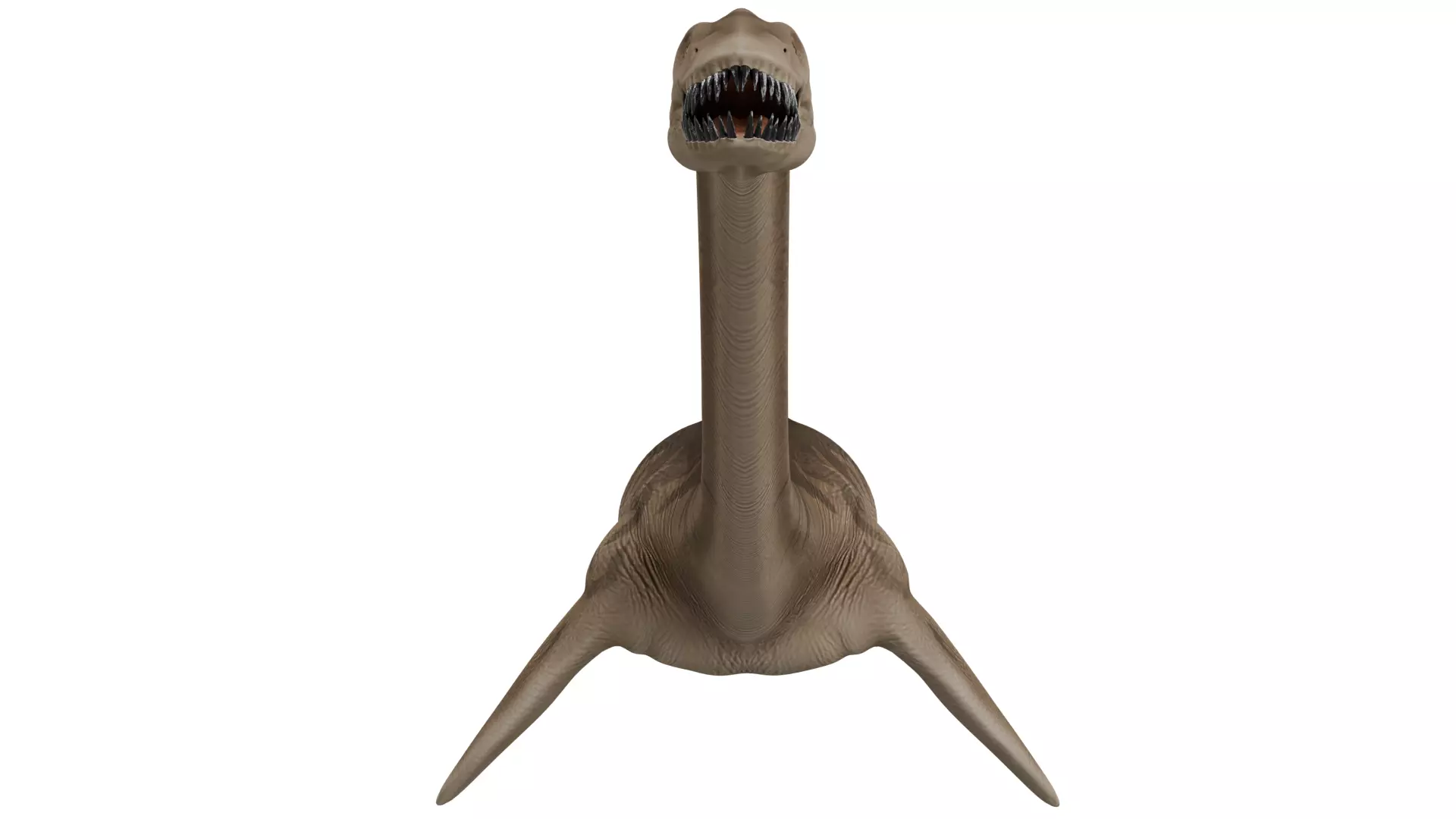 Thalassomedon 3D model_7