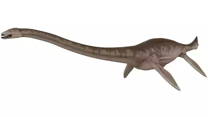 Thalassomedon 3D model