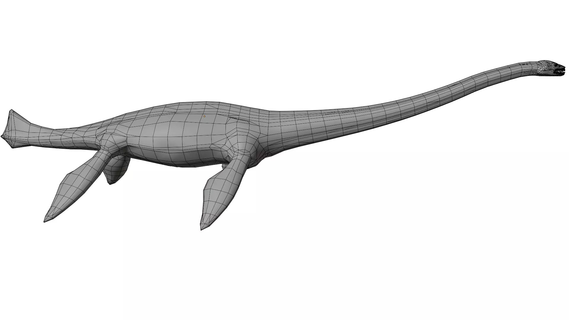 Thalassomedon 3D model_14