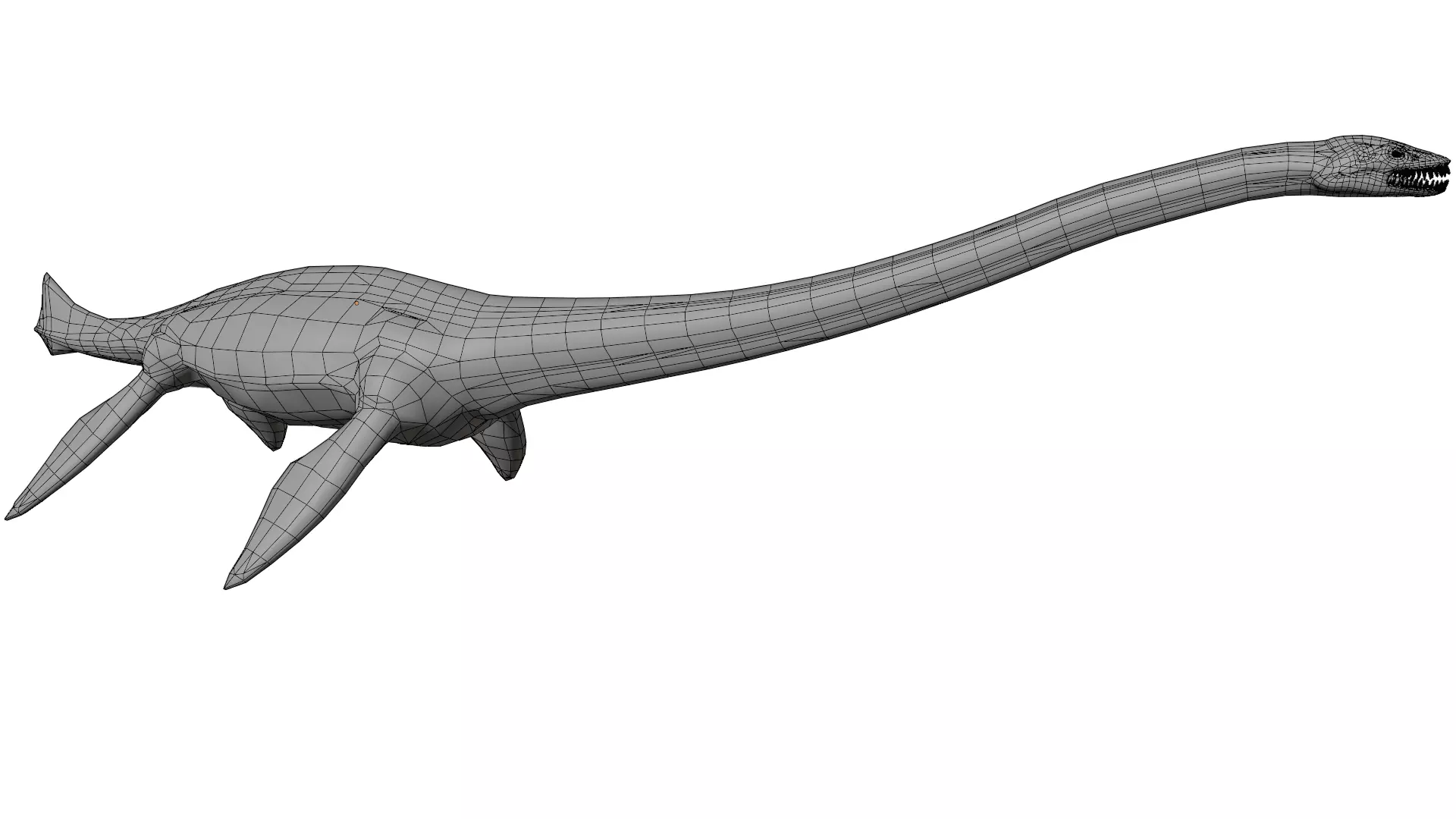 Thalassomedon 3D model_15